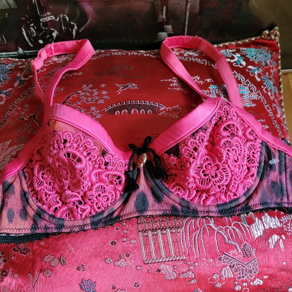 Roberto Cavalli Pink and Black Lace Bra - Picture 2 of 7